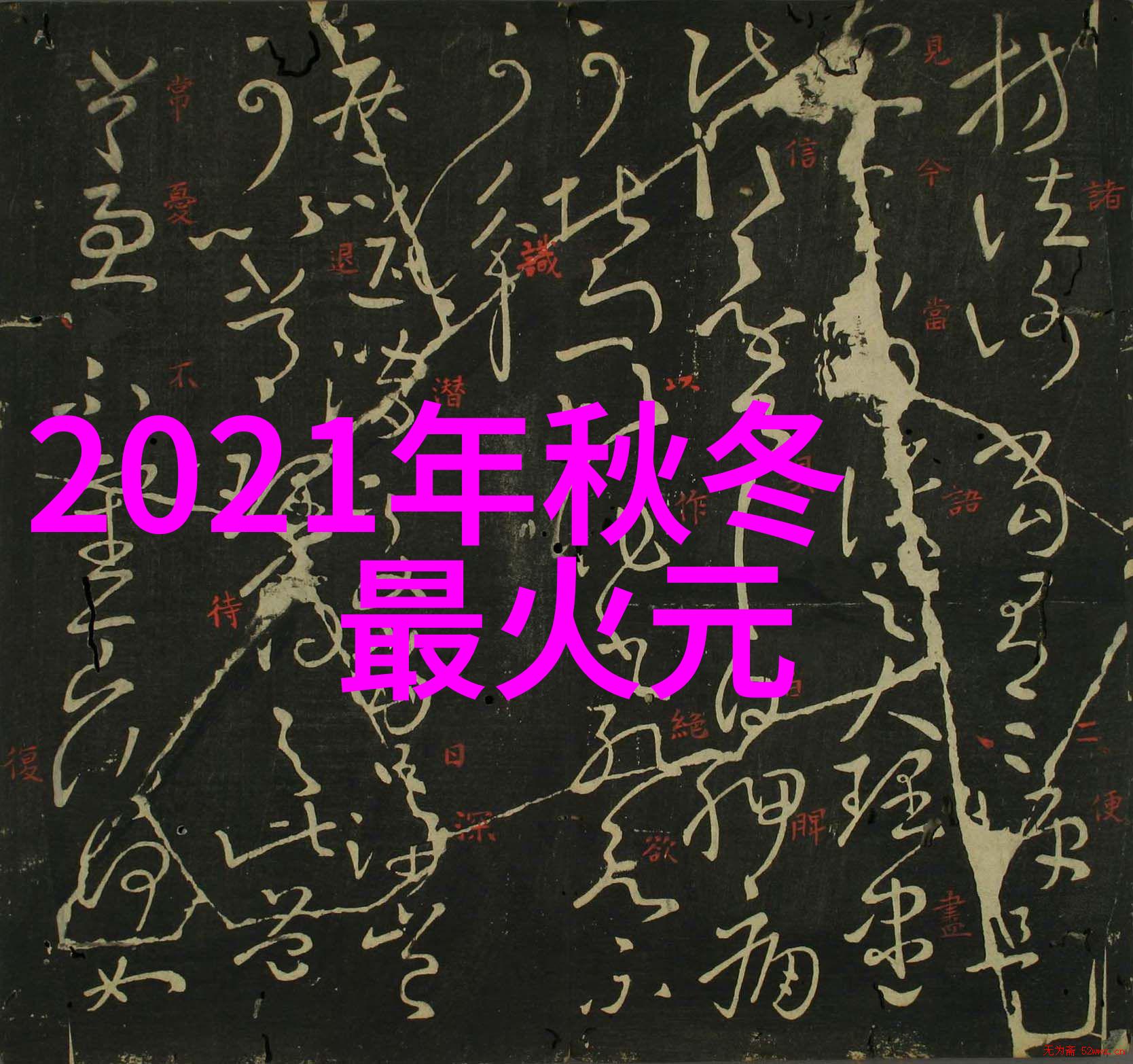 流行时尚网站我是如何在网上发现下一个时尚趋势的