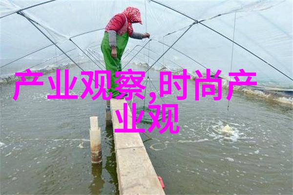 船鞋我的海上步行者