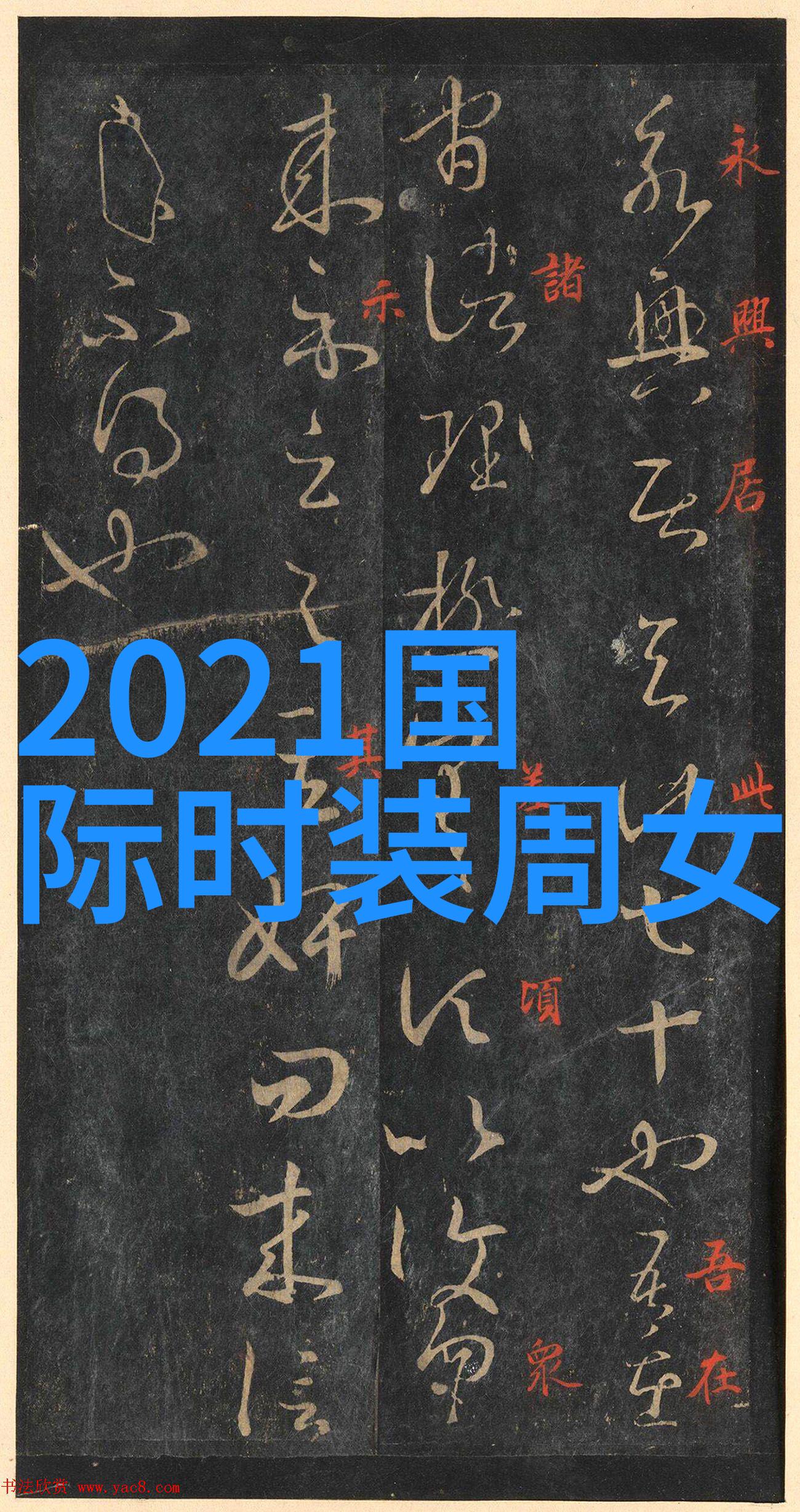 宝宝的扇贝夹C秘诀揭秘那些流行视频背后的海洋艺术