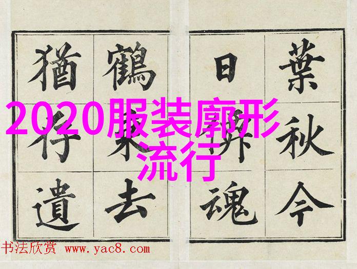 编发型视频教程掌握精致编发技巧美丽不再难