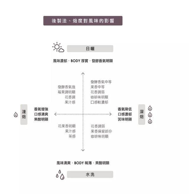 编发型视频教程研究探索视觉语言与动态教学的结合