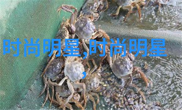 春夏时节的色彩盛宴2023年流行色系解析鲜亮橙色柔和粉紫深邃海蓝