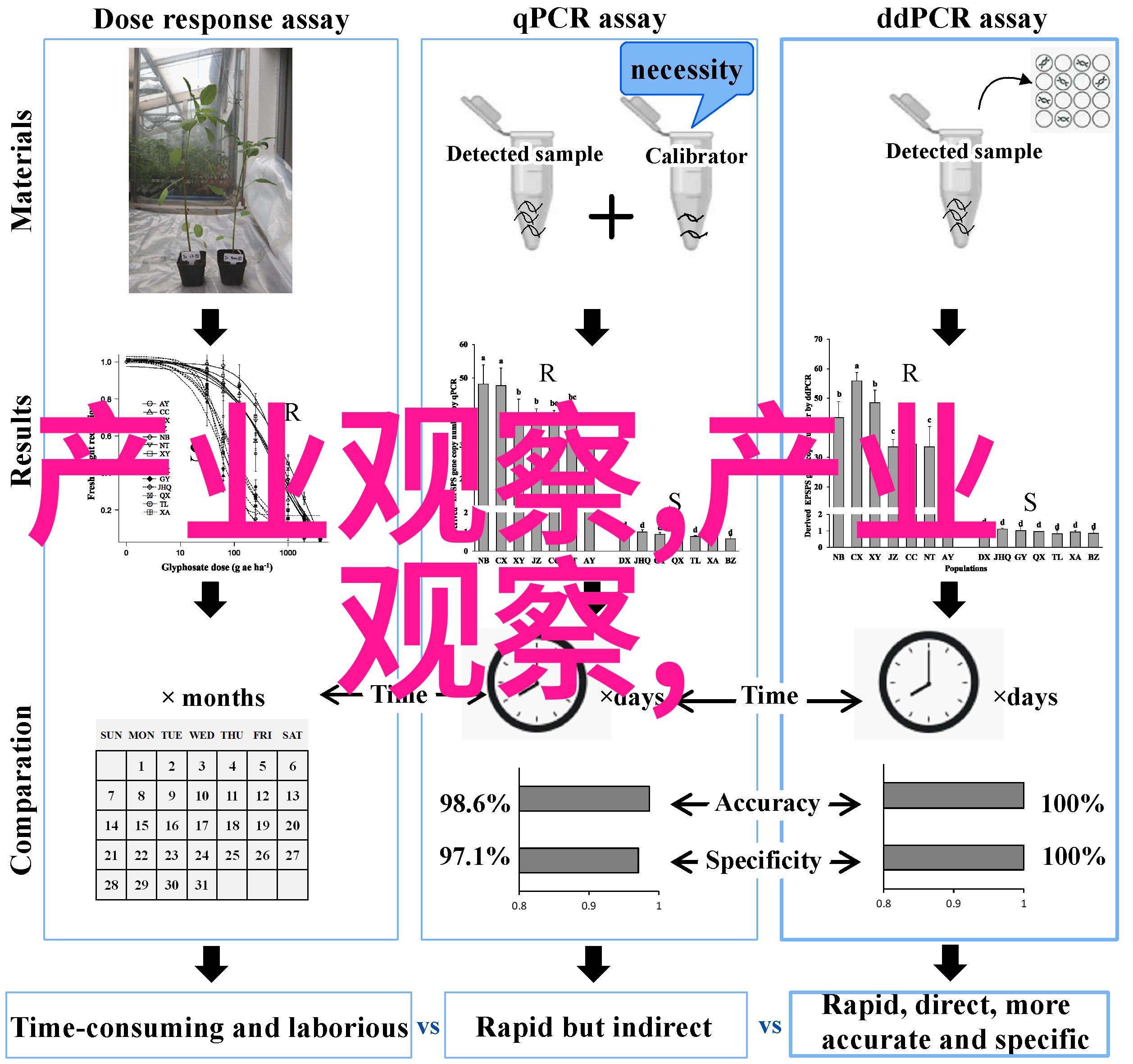 2021年最潮的女包款式颜色盘点