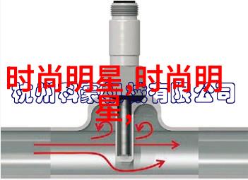 女性化的暴力解读女恐怖分子的特征