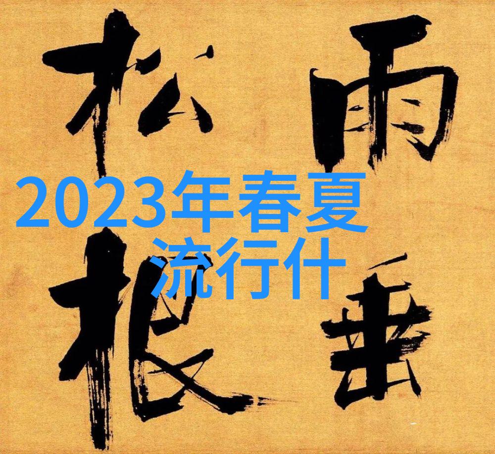 时尚界的新篇章2021年服装廓形流行趋势时尚大师的创新设计轻盈优雅的线条与现代感十足