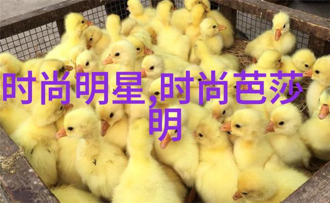 春夏妆容新宠2021年流行趋势让你笑中带泪