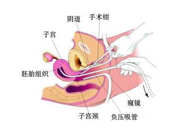 宝贝这里没人我想要没人看见的偷偷的秘密花园我的私密世界