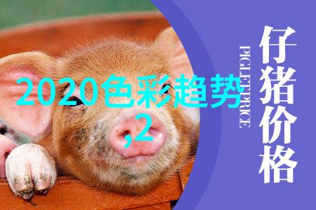 2023年时尚潮流短发女孩的魅力再现