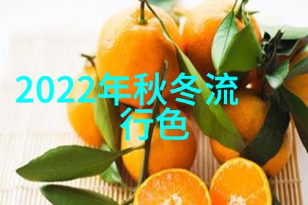 冬季时尚潮流2023年最受欢迎的冬季衣服色彩