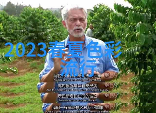 力挽狂澜的救赎王宝强八角笼中亮相海影节预计2023年上映