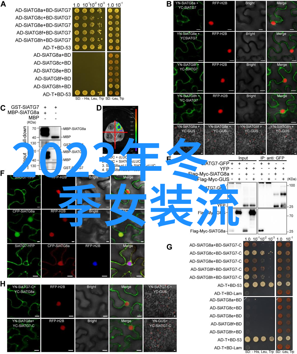 时尚芭莎明星慈善夜星光闪耀爱心无限流动