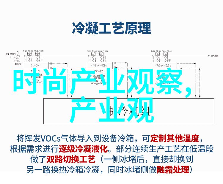 穿越宫廷的温柔纠葛沾衣宠妃的秘密故事