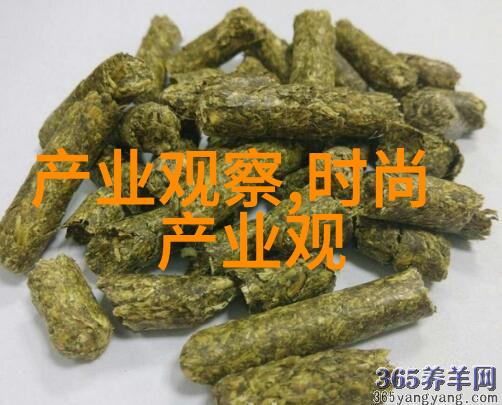 技术与时尚的结合有没有高科技应用程序可以根据用户年龄性别等因素建议不同的发式