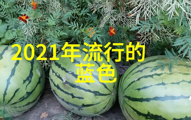 夏日风尚女生必备的时尚单品