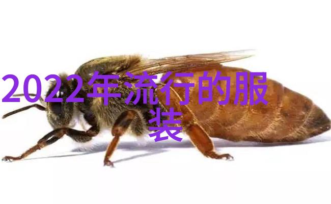 剪刀与智慧揭秘理发师的平头禁忌