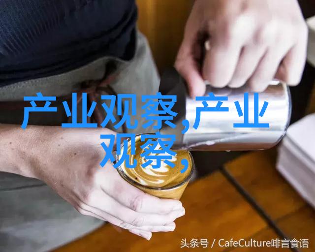 丰年轻的继拇中文3使用方法教你我怎么用它来提升日常沟通效率