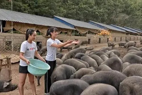 在工作环境中我该如何学习适合职业场合的正式打扮技巧呢