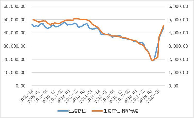 2023美发图片时尚界的色彩盛宴