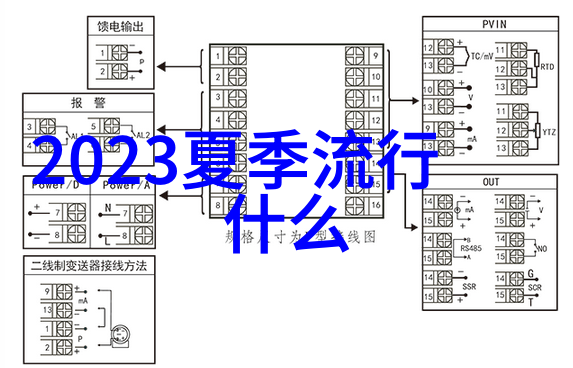 老太太的70岁生日庆典