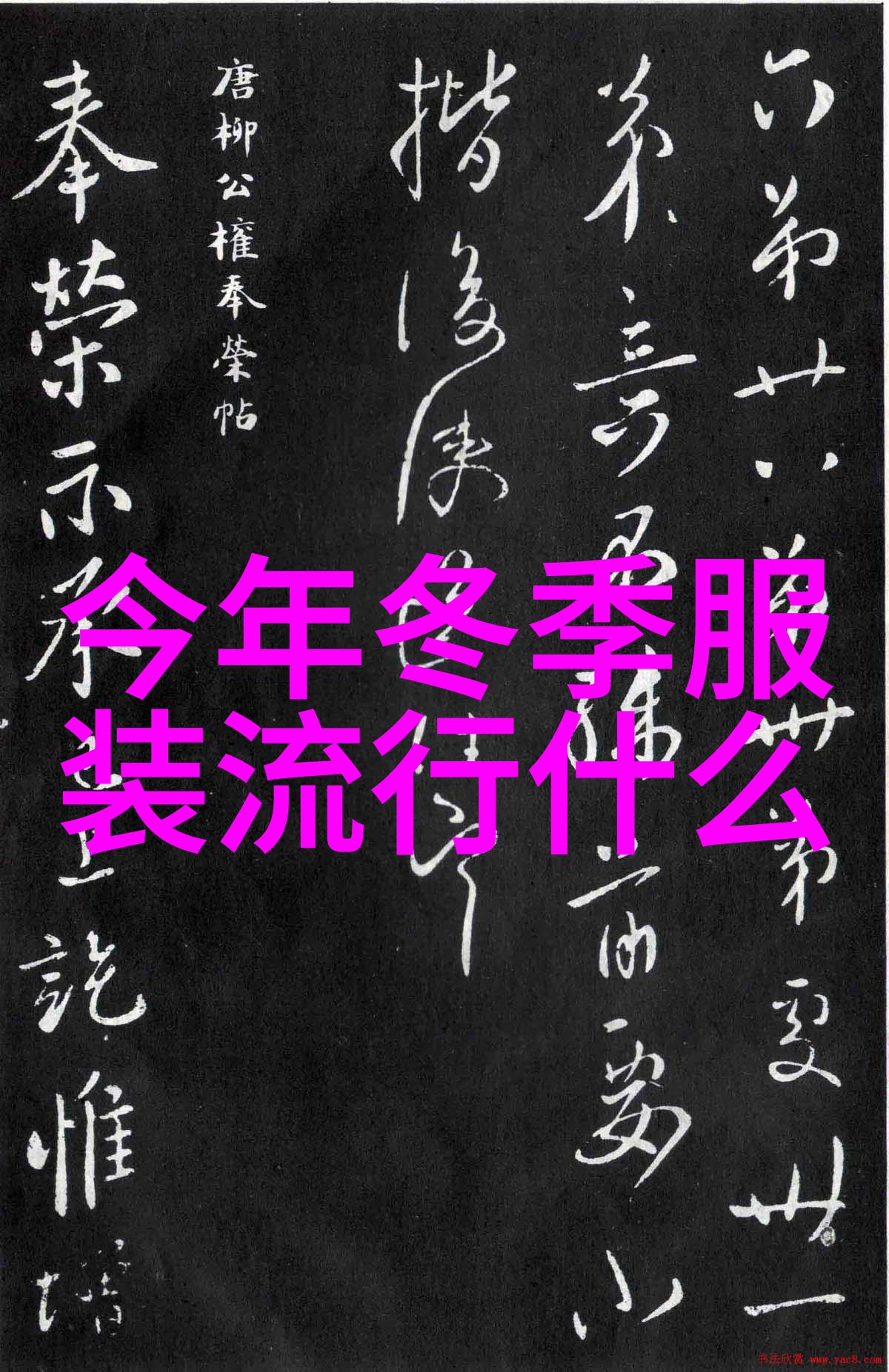 剪发的艺术从梳理到整形揭秘理发师的技艺