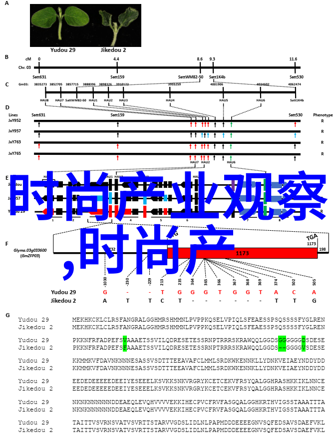 流行的中短发发型-时尚界的小颅大脑探索最新一季的简约魅力