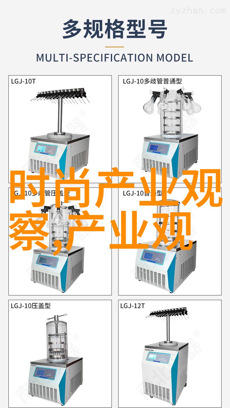 仙路争锋穿越异界的英雄征途