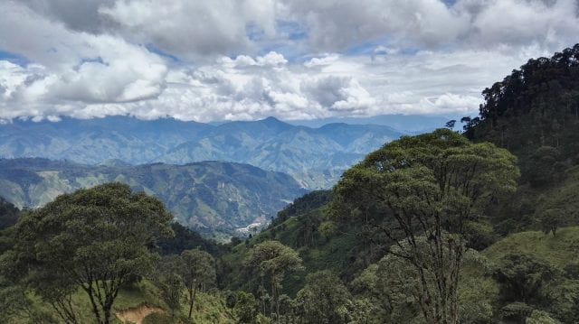 大婶的肥沃土地承载着岁月与丰收的故事