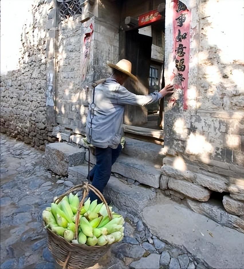 冰封的秘密揭开暴雪时分原著小说背后的故事世界