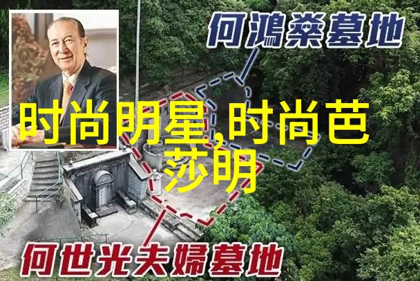 巩俐姜文北影节惊喜合体红高粱插曲掀回忆杀社会各界观众在大地影院享受神马高清完整版BD免费观看的便利