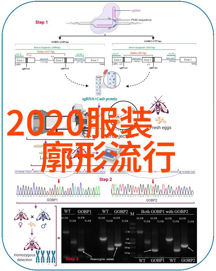 男生发型的新潮流二八分风格的兴起与影响