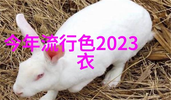 秋天的女生穿着什么样的衣服最为合适就像她选择2021年流行的直发发型一样优雅而又时尚