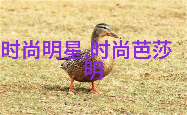 从O变A后我只想吃软饭转运的滋味从努力奋斗到享受生活的故事