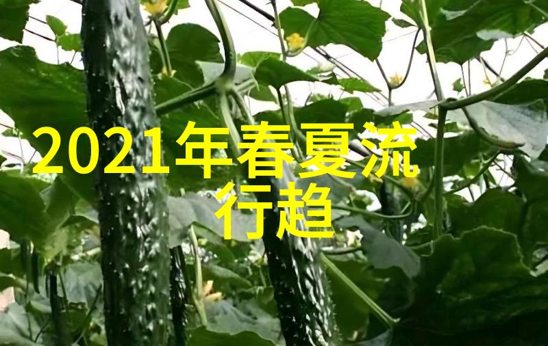 沉浸梦境探索睡过劳荣枝20分钟视频背后的艺术与科技