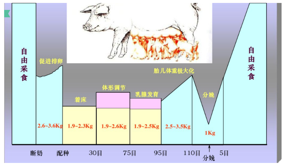 中年男士的短发风格探索