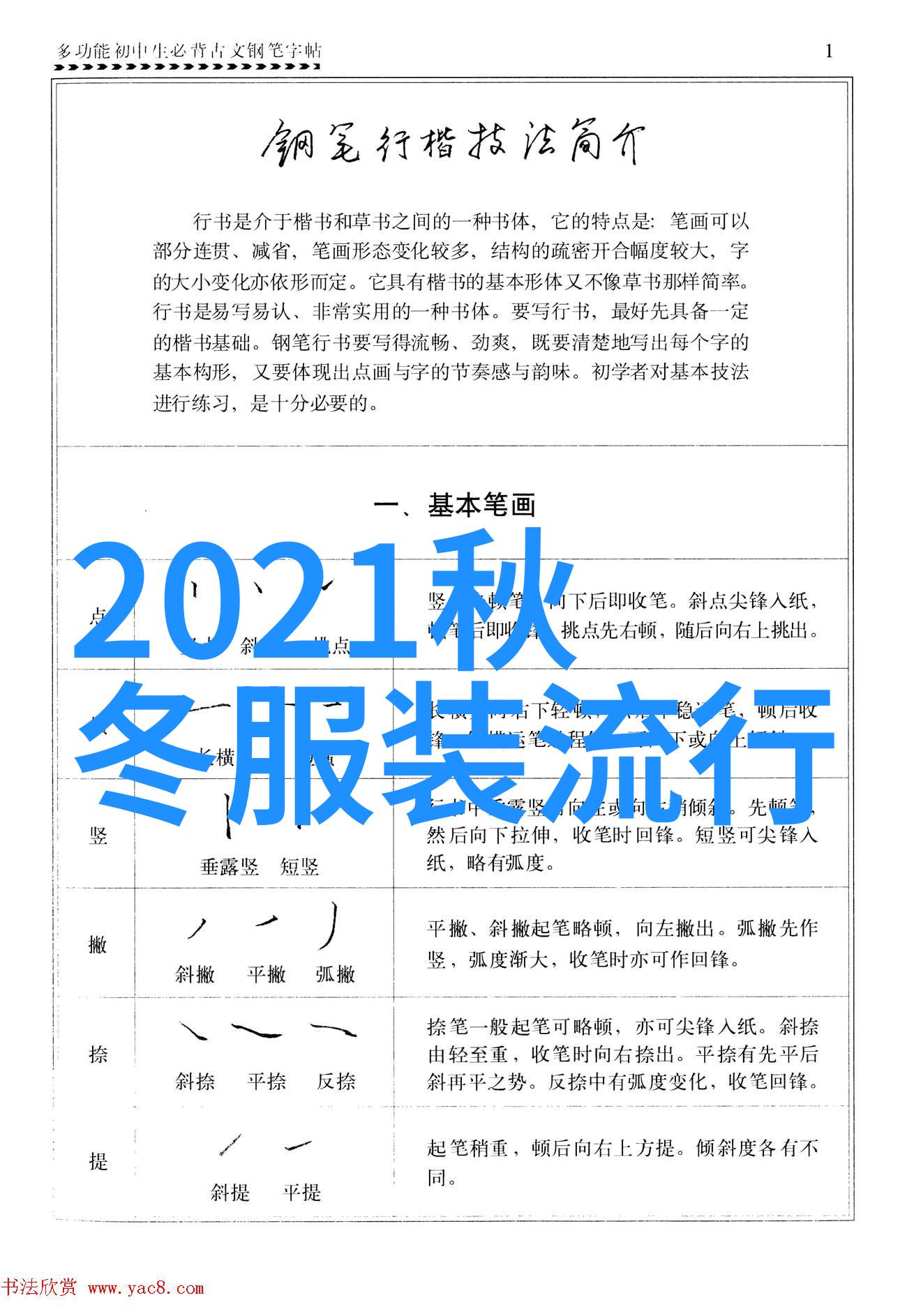 202数字的双重意义与未来趋势探索