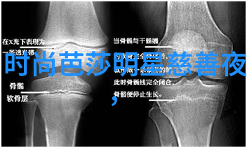 厨房用品-锅盖头烹饪的守护者与伙伴