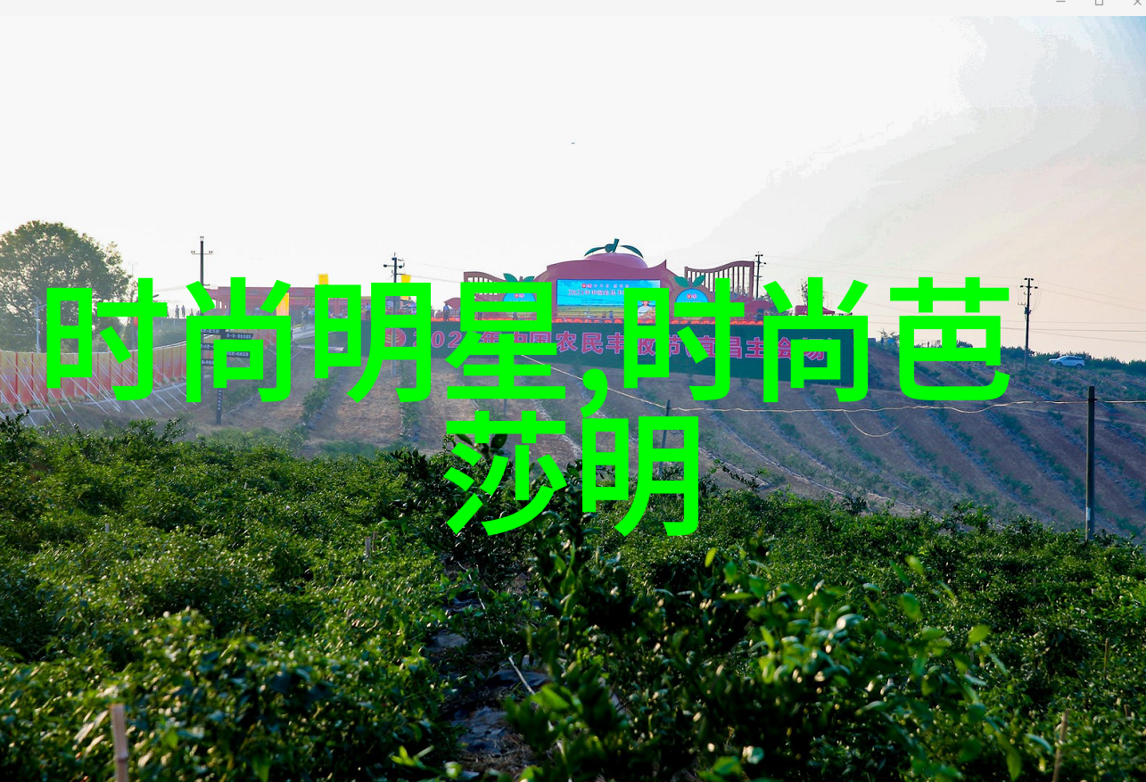 劳动和社会保障部发布你知道吗2008年3月的一份重要文件改变了我们追踪失业保险的方式