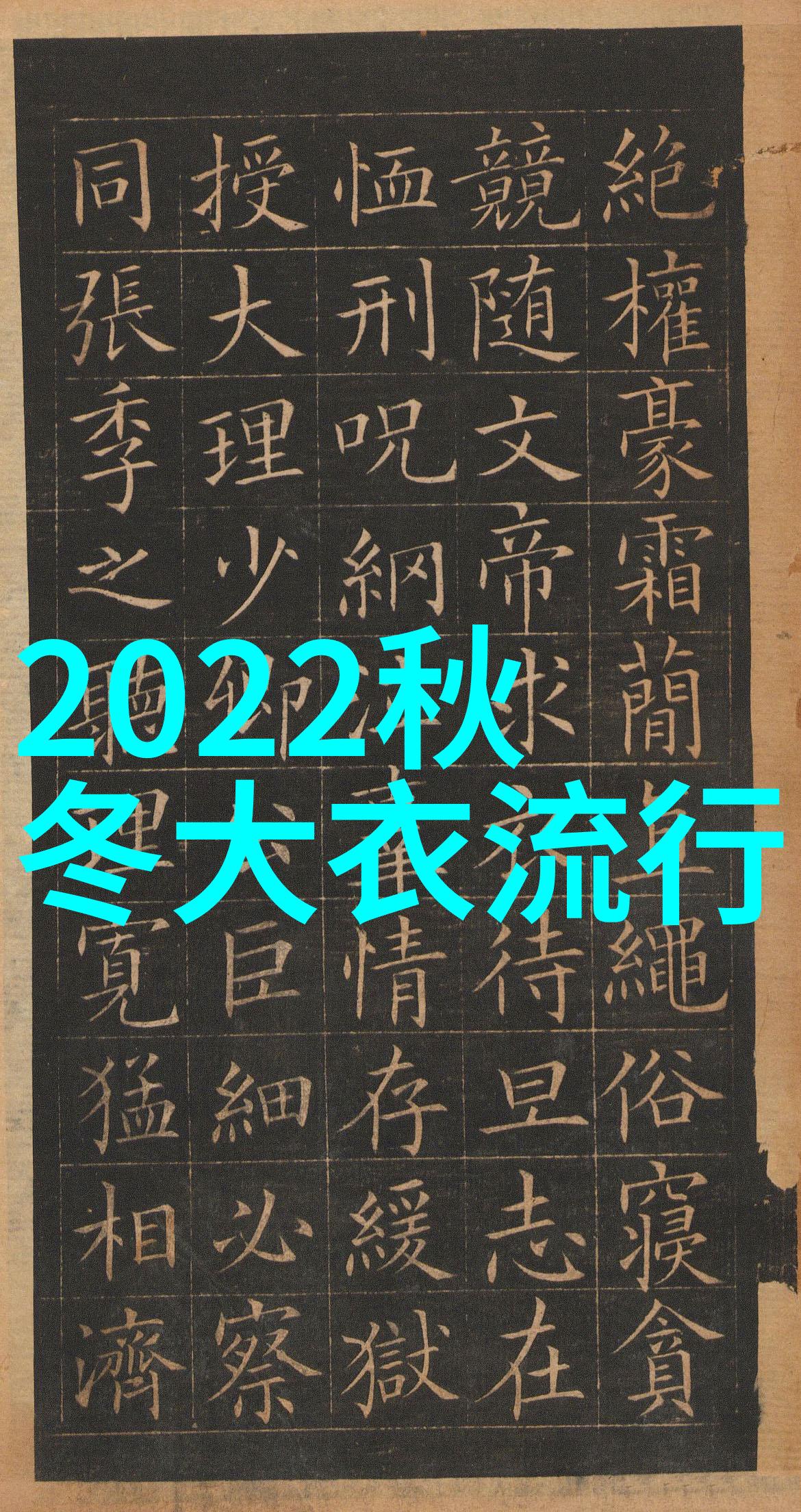 002975数字之谜