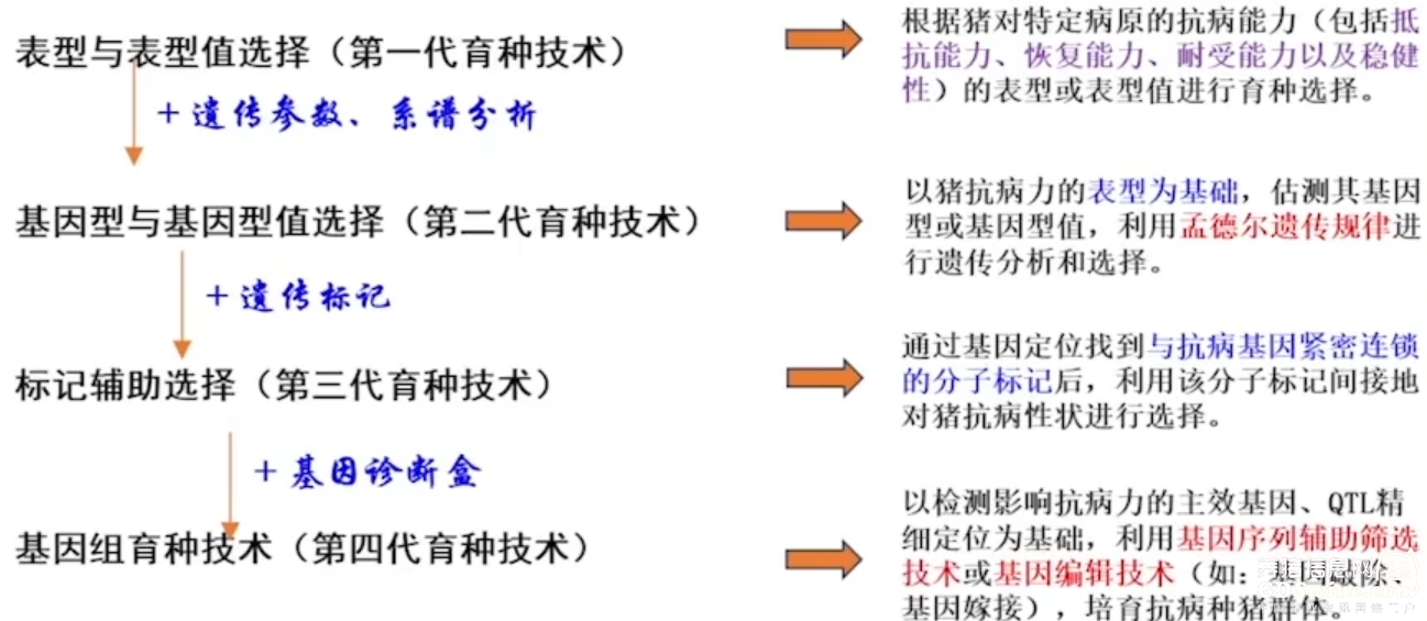 百变辫艺100种儿童发型编织秘籍