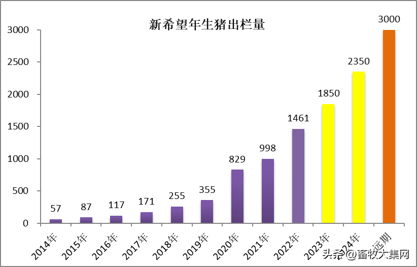 cndy对于未来的规划和期待是什么样子的