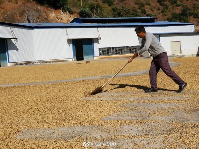 随风飘逸一往无前的30款最佳烫发效果图解析