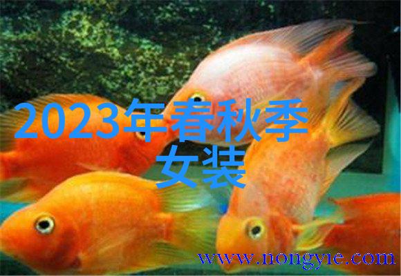 在科技高度发达的2030年代我们对健康保健服务有什么新期待