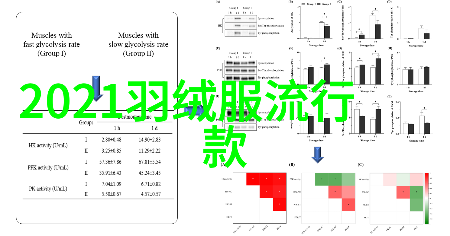 时尚配饰-V领针织衫的魅力轻松搭配让你优雅一整季