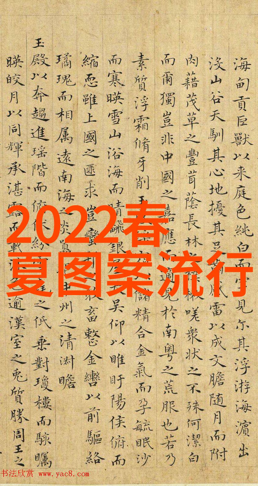 打造精致气质2023年女生短发图片欣赏