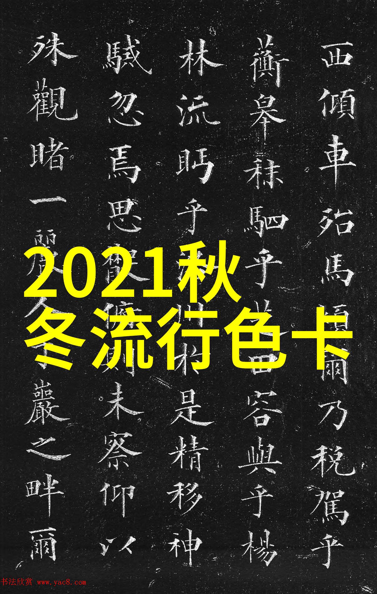 博士眼镜的神秘力量与宝岛上的古老智慧哪一方能解开时间的迷雾